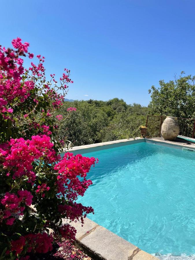 Le Petit Mas Bed and Breakfast Vogue Buitenkant foto