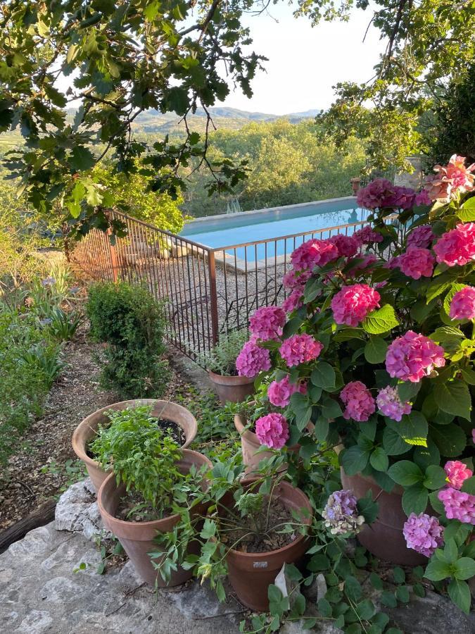 Le Petit Mas Bed and Breakfast Vogue Buitenkant foto